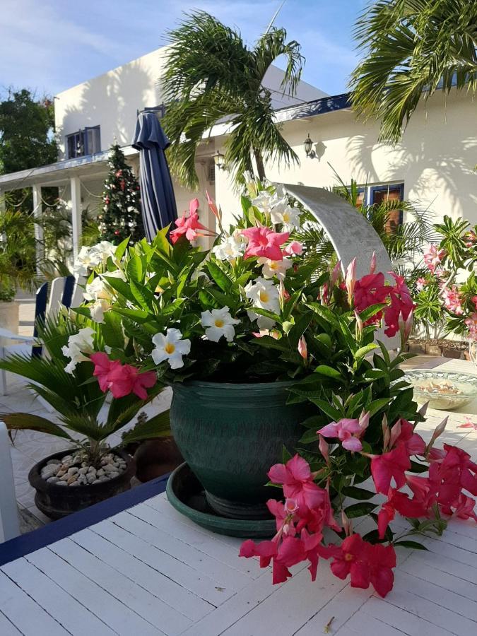 Palmita Hotel Hostel Oranjestad Exterior foto