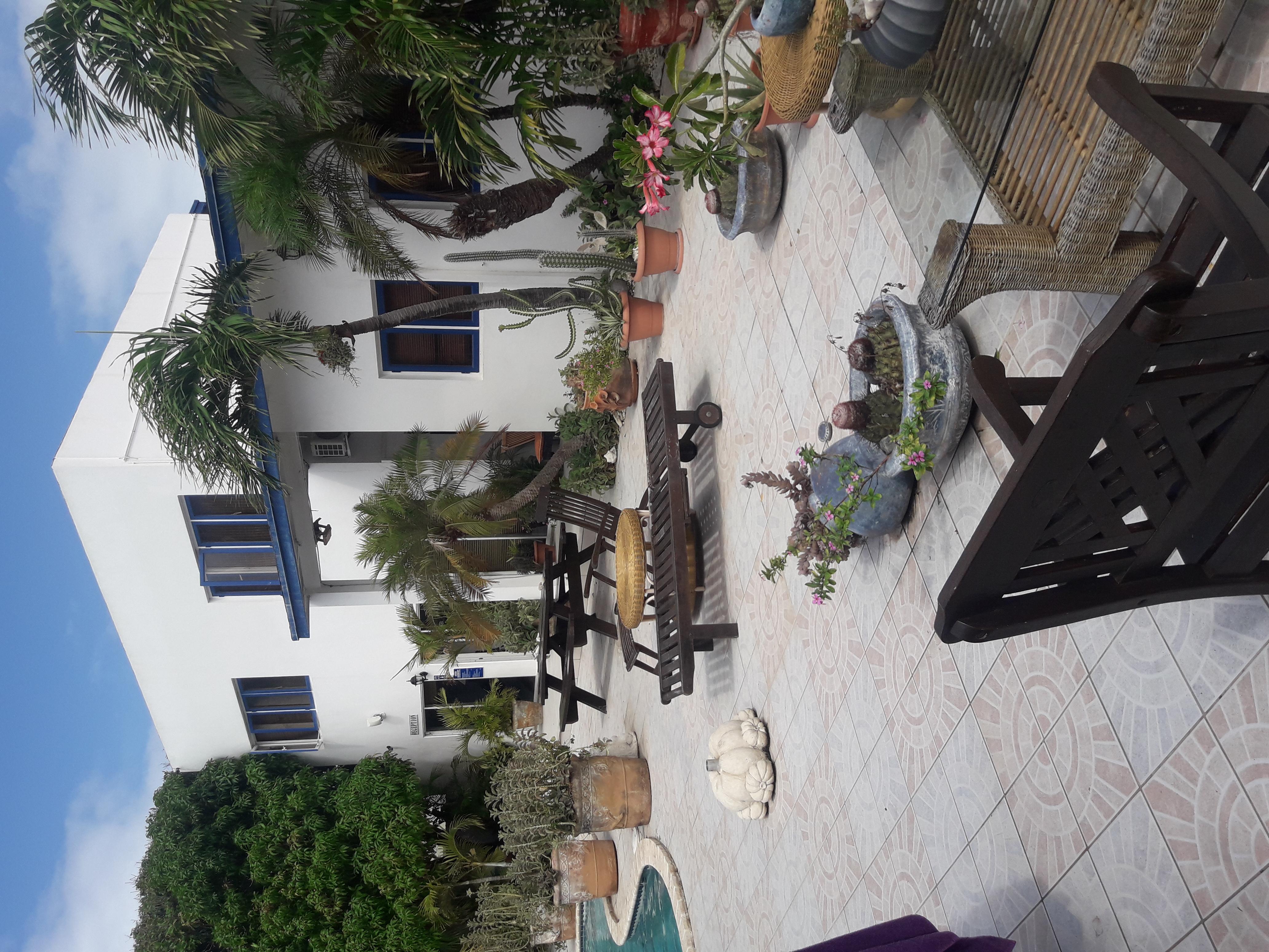 Palmita Hotel Hostel Oranjestad Exterior foto