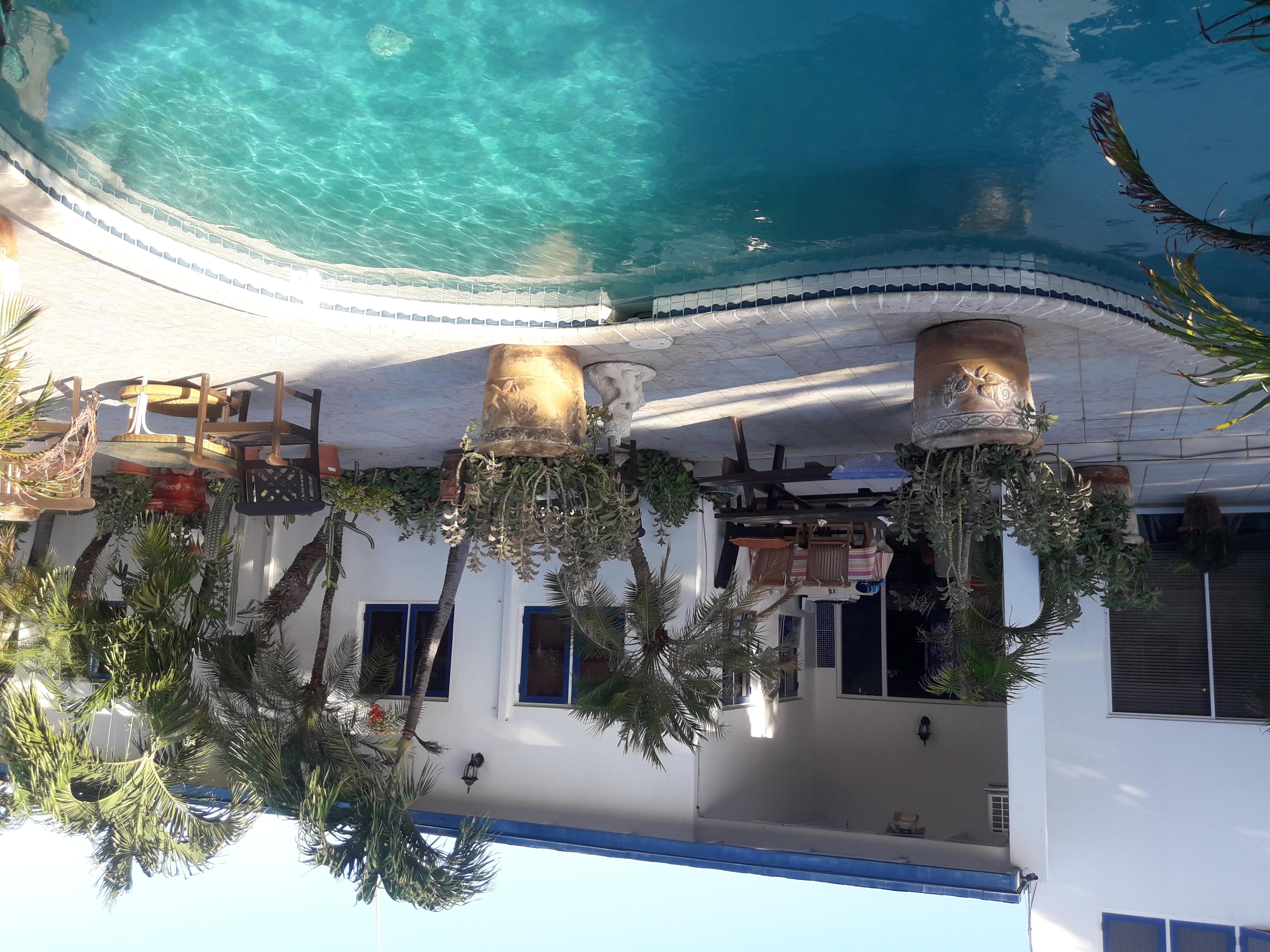 Palmita Hotel Hostel Oranjestad Exterior foto