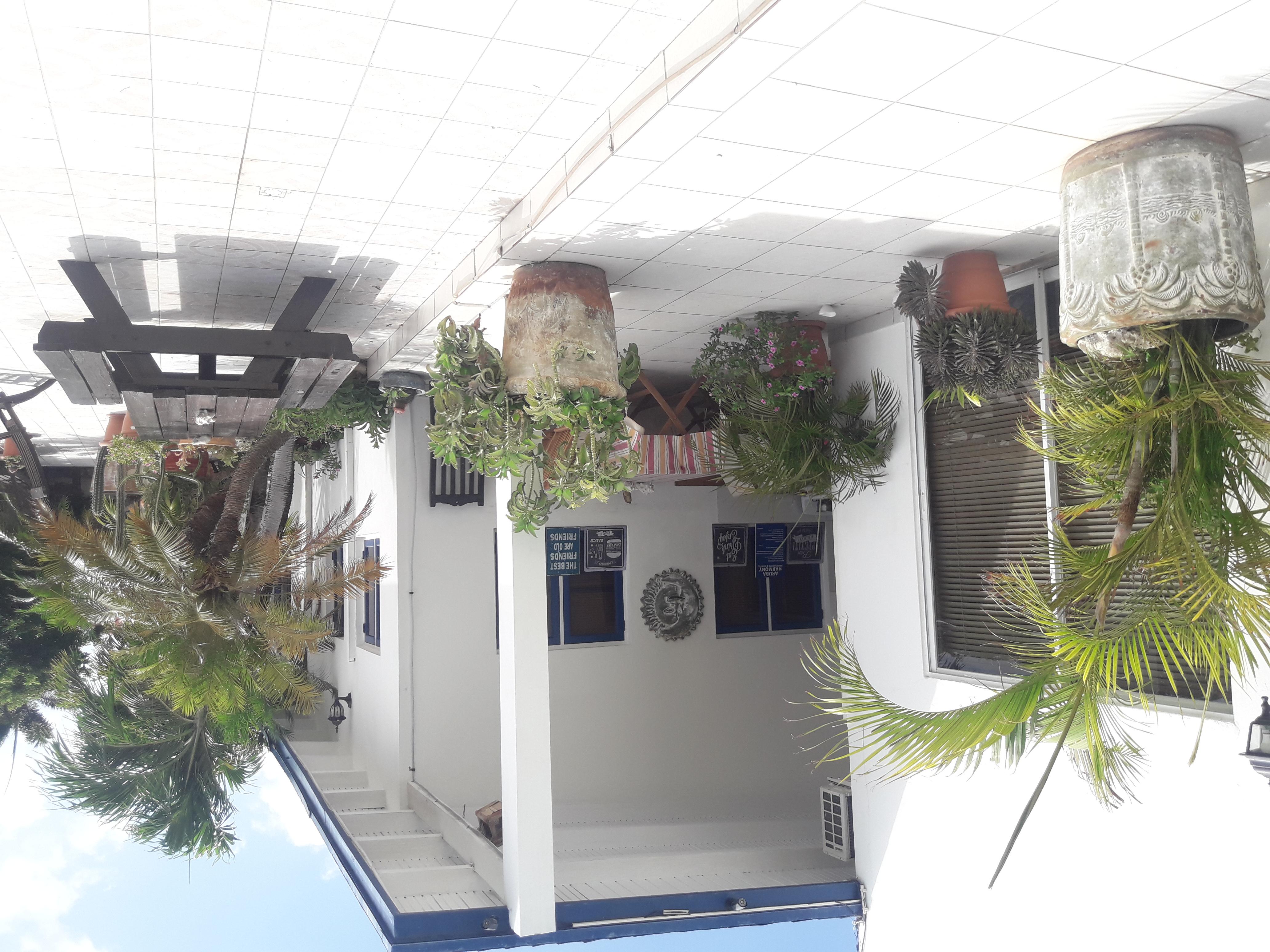 Palmita Hotel Hostel Oranjestad Exterior foto