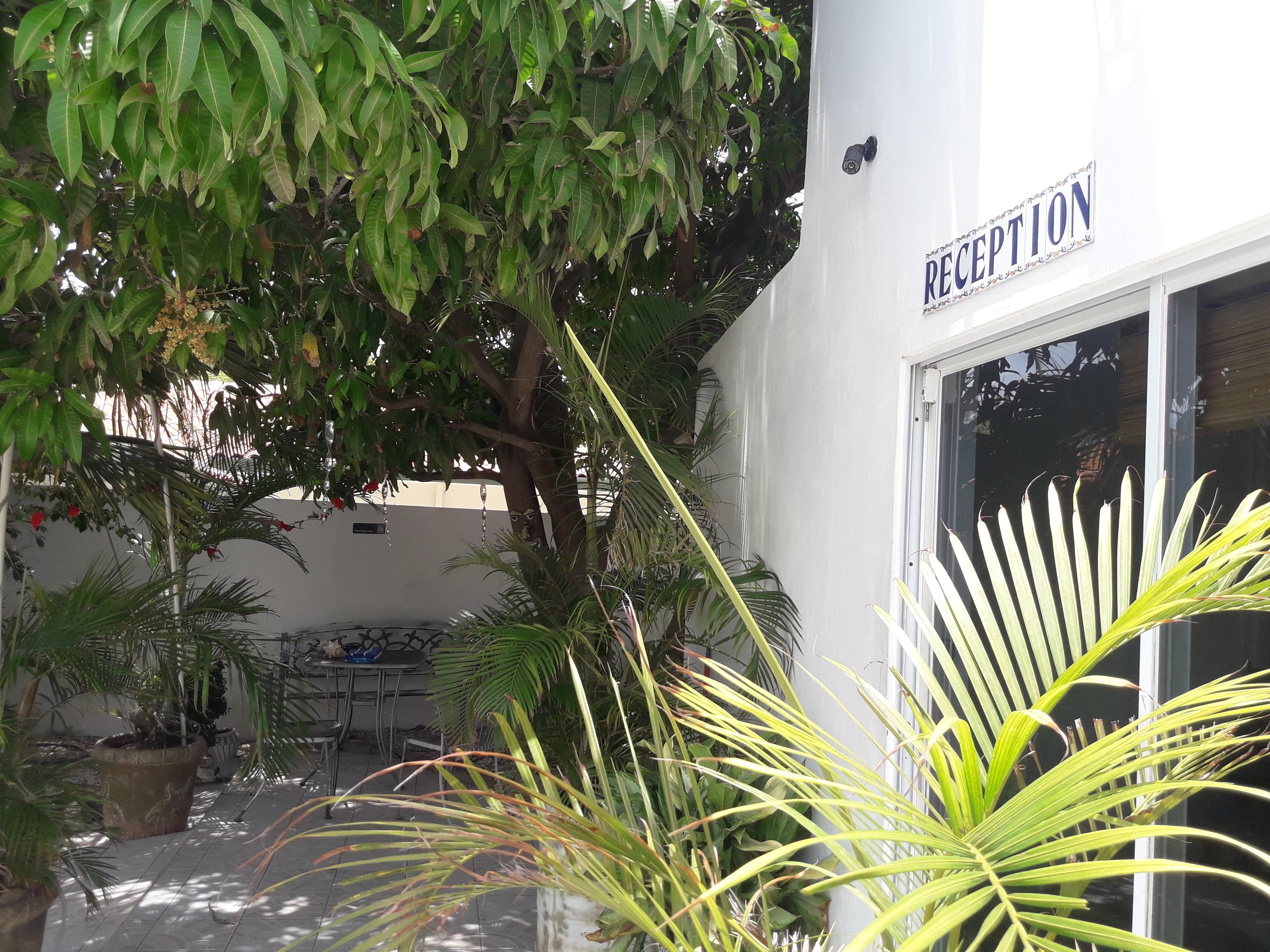 Palmita Hotel Hostel Oranjestad Exterior foto